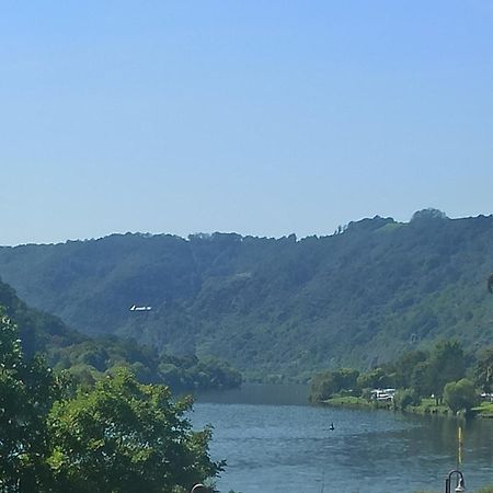 Appartamento Riesling Hatzenport Esterno foto